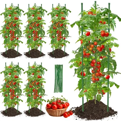 6 Stück Tomatenkäfige Tomaten Rankhilfe, 130cm Verstellbar Tomatenturm Rankgi... - Bild 1 von 4