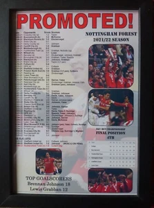 Nottingham Forest promoted from Championship 2022 - framed print - Picture 1 of 2