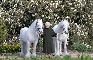 QUEEN ELIZABETH II 1926-2022 -SEPTEMBER 9th 2022 with 2 White Horses Nice 8 x 10 - Picture 1 of 4