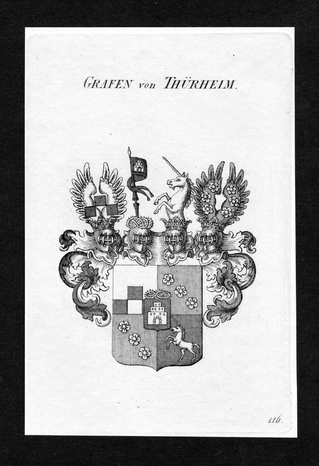 ca.1820 Thürheimer Thierheimer Wappen Adel coat of arms Kupferstich antique - Bild 1 von 1