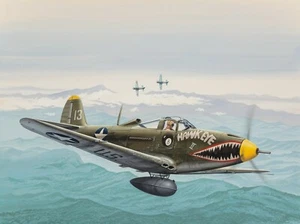 P-39 Air Cobra World War Two Fighter Plane NEW Metal Sign: Hawkeye II - Picture 1 of 1