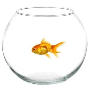 Ampolla Boccia In Vetro Trasparente 30 Cm Acquario Per Pesci Centrotavola sus - Imagen 1 de 1