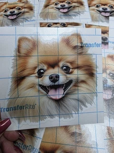 Pomeranian Dog Sticker 5 x 4.5" in Full Color Print 3M Film White Outline - Picture 1 of 2