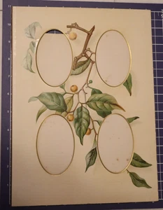 Antique Edwardian/Victorian 4 four Photo Album Mat 8x11 Frame Unkwn Fruit tree - Picture 1 of 5