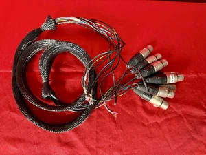 Cable serpiente Neutrik NC3FX conectores audio 8 canales 4,5 pies Canare MR202-8AT XLR - Imagen 1 de 6