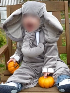 Infant Elephant costume 18 months. A steal for the ivory alone! - Picture 1 of 4