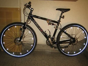 Trekking Rad Fully Red Bull Rose NPL MTB RH 48 - Bild 1 von 19