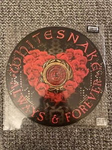 Whitesnake Lp 12” Picture Disc Always & Forever Mint Condition - Picture 1 of 2