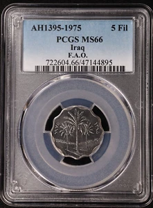 1975 Iraq 5 Fils AH1395 F.A.O. with Legend Stainless Steel Coin NGC MS 66 - Picture 1 of 2
