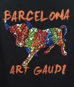 Barcelona Art Gaudi Boy’s Short Sleeve Size 8 T-Shirt by Roly - Picture 1 of 8