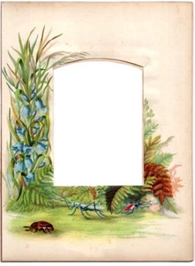 Buntes Fotoalbum Seite 208x282mm für Schrankkarte Insekten Blumen um 1880 - Bild 1 von 2