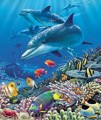 Plush Queen Size Dolphin & Fish Blanket - Extremely Soft - Shipwreck - Image 1 of 3