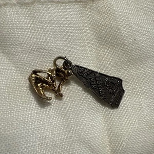 Sterling Silver Charm New Hampshire Skier - Picture 1 of 4