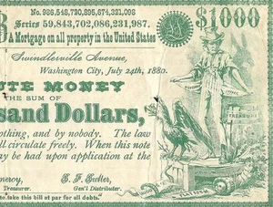 1880 $1,000 WASHINGTON D.C. NATIONAL GREENBACK POLITICAL NOTE ABSOLUTE MONEY - Picture 1 of 4