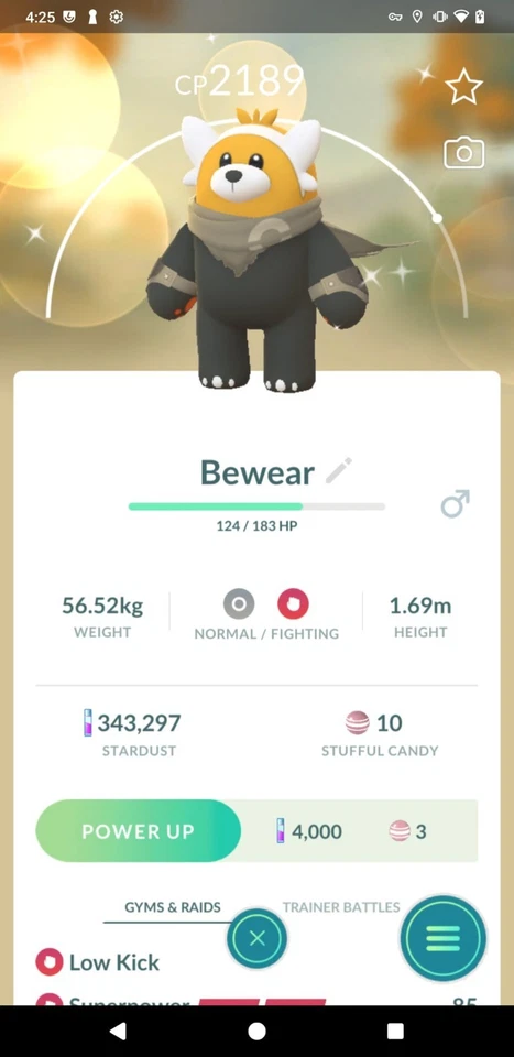 Costume mantello natura selvaggia Shiny Bewear -P T C- Leggi descrizione - Immagine 1 di 1