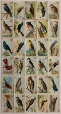 Useful birds of America Card Set 1st Series Dwights 30 Cards Arm & Hammer J-5