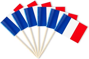 Mini palillos de dientes con bandera francesa pequeños bandera de Francia para aperitivos de fiesta, cupcakes, aprox. - Imagen 1 de 12