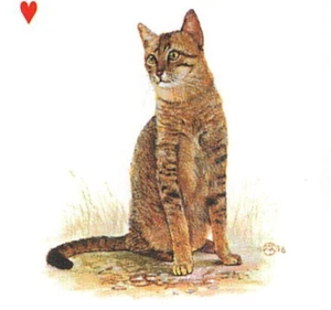 BRONZE EGYPTIAN MAU Cat of the World Single Swap Playing Card - Picture 1 of 3