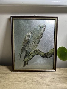 Vintage Framed Foil Art Bird Falcon on Branch Avian Animal Home Decor 11” Tall - Picture 1 of 4