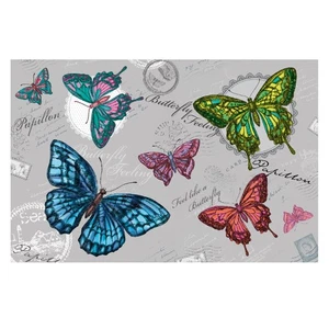 Fußmatte 44x67cm Gallery Schmetterlinge Türmatte Bodenmatte Schmutzmatte Grau - Bild 1 von 5