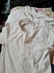 5 Girls Shirts Age 12 - Picture 1 of 1