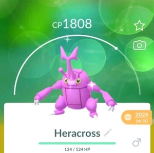 Pokèmon Go Shiny HERACROSS (hombre) - BRILLANTE REGIONAL - Imagen 1 de 1