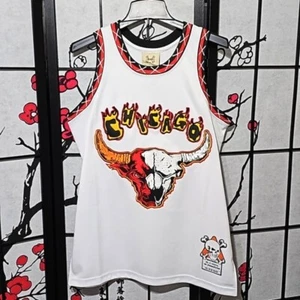 Chicago Bulls Jordan Graphic Jersey Size Small NWT - Picture 1 of 4