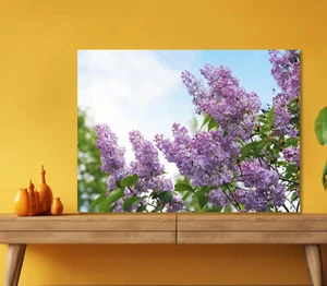 Purple Blossoming Lilac 5mm thick Plastic Poster Ready to Hang 60x45cm - Picture 1 of 3