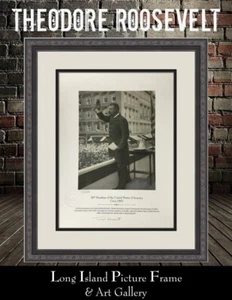 President Theodore Roosevelt L/ED S/N Giclee on Paper Custom Framed - Picture 1 of 6