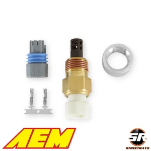 AEM 30-2010 Air Inlet Temperature (AIT) Sensor Kit - 3/8" NPT (NEW) - Bild 1 von 3