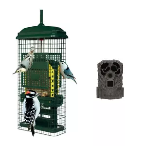 Brome Bird Care Squirrel Buster Suet Feeder Green with Trail Camera - Picture 1 of 11