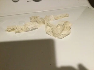 Antike Vintage Spitzenborte Kanten Nähen - Basteln - Puppenkleidung - Bild 1 von 2