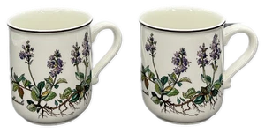 Villeroy & Boch Botanica Taza Café Té Verónica Officialis Juego de 2 - Imagen 1 de 5