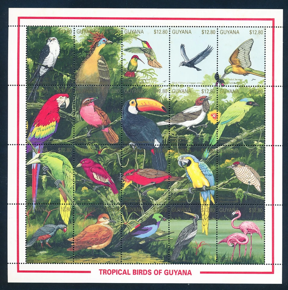 XE56721 Guyana animals fauna flora birds XXL sheet MNH - Image 1 of 1