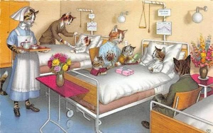 G91/ Dressed Cats Alfred Mainzer Postcard c1940s Hospital Bed Visit 29 - Imagen 1 de 4