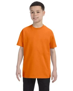 Hanes Youth 100% Cotton Heavy Authentic-T T-Shirt M-54500 - Picture 1 of 70