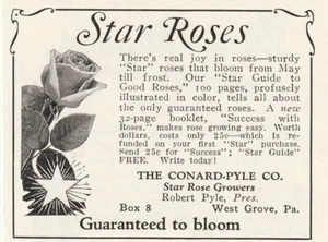 Star rose company 1927 printed ad black and white 3-in 3 in by 2 in  - Picture 1 of 4