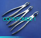 3 Tooth Extracting Forceps 51S Surgical Dental Instrument 
