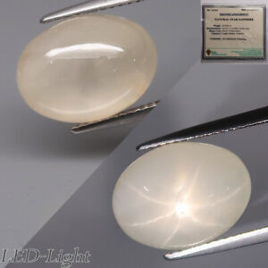 9.92Ct.FREE Certified! Rare Quality (Transparent) Light Yellow Star Sapphire