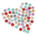 60pcs Resin Resin Flat Back Beads Transparent Charms Beads  for DIY Crafts