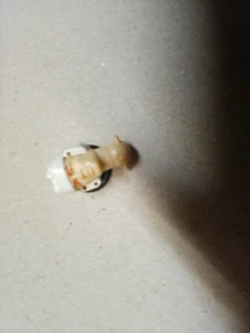 GI Joe 33/4 Head Body part - Picture 1 of 1