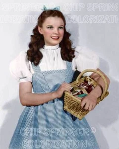JUDY GARLAND Dorothy & Basket | Bellissima foto a colori sexy 8x10 di CHIP SPRINGER - Foto 1 di 1
