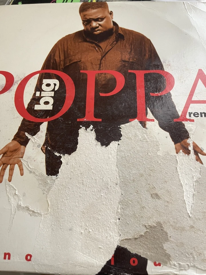 Notorious BIG - Big Poppa G+ Scratches - $4.99 Warehouse BINS - READ DESCRIPTION Foto 1 de 1
