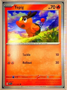 Tepig 011/086 White Flare English holo - Picture 1 of 1