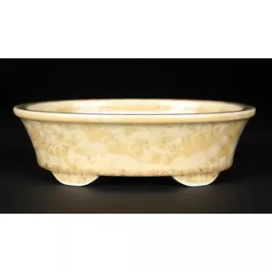 Japanese bonsai pot HEIAN SENZAN Mokko shape W18cm H5.5cm Yellow Gold Glazed - Picture 1 of 24