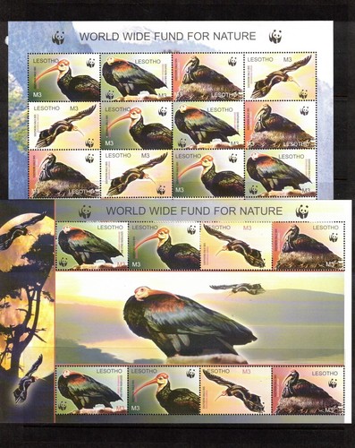 Lesotho Sc 1336-7 MNH S/S of 2004- WWF - SOUTHERN BALD IBIS | eBay