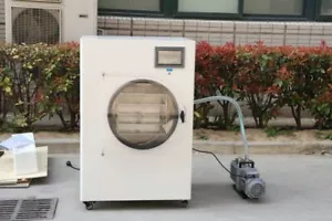 0.6㎡ Vacuum Freeze Dryer Lyophilizer Sublimation Freezing Drying Oven with Pump - Picture 1 of 11