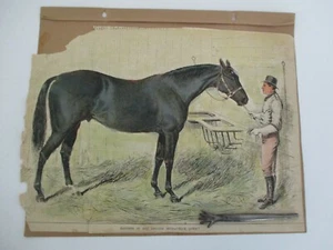 Antique Colored Print, Fathers of the English Stud- Racehorse BLUE GOWN, Ca 1870 - Picture 1 of 2