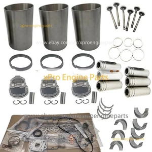 Kit de reconstrucción de nueva revisión apto para tractor excavadora motor Yanmar 3TNM74 - Imagen 1 de 1