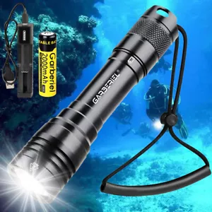 Torcia subacquea 100 m impermeabile ricaricabile lampada LED subacquea - Foto 1 di 16
